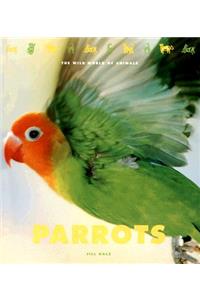 Parrots