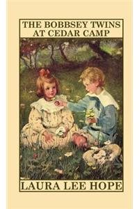 Bobbsey Twins at Cedar Camp