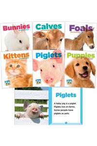 Baby Animals Set 1 (Set)
