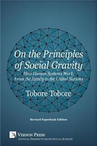 On the Principles of Social Gravity