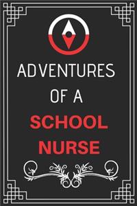 Adventures of A School Nurse