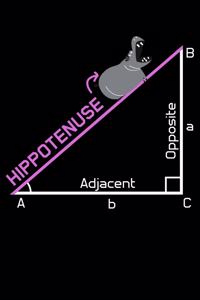 Hippotenuse