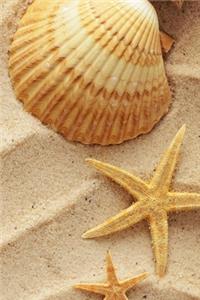 Shells Journal