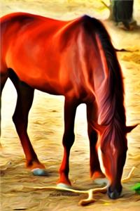Horse Notebook
