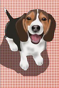 Beagle