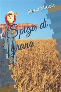 Spiga Di Grano