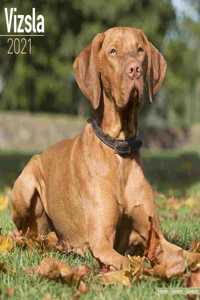 Vizsla 2021 Wall Calendar