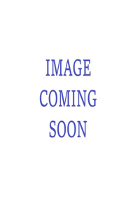The Official England Lionesses A3 Calendar 2022