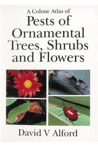 Pests of Ornamental Trees, Shrubs and Flowers