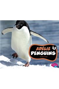 Adélie Penguins