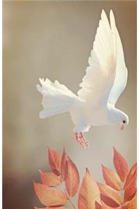 Dove Journal