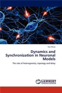 Dynamics and Synchronization in Neuronal Models