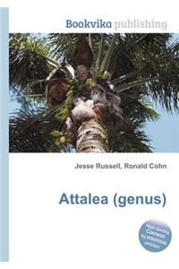 Attalea (Genus)