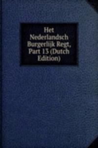 Het Nederlandsch Burgerlijk Regt, Part 13 (Dutch Edition)