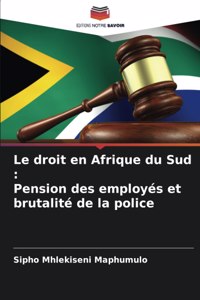 droit en Afrique du Sud