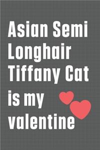Asian Semi Longhair Tiffany Cat is my valentine