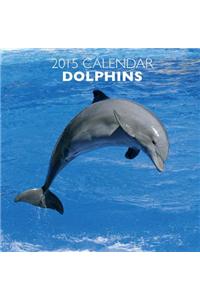 2015 Dolphins Calendar