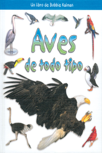 Aves de Todo Tipo (Birds of All Kinds)