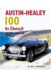 Austin-Healey 100 in Detail