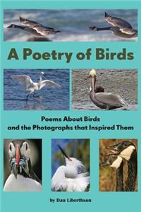 Poetry of Birds