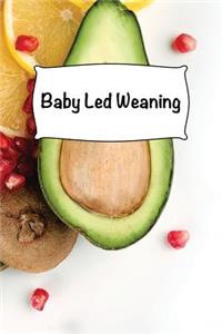 Baby Led Weaning