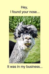 Hey, I found your nose... It was in my business