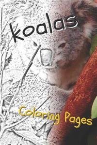Koala Coloring Pages