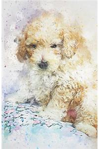 2019-2020 Academic Planner Weekly and Monthly Shy Dog