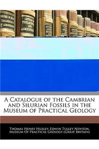 A Catalogue of the Cambrian and Silurian Fossils in the Museum of Practical Geology