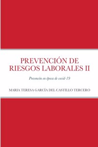 Prevención de Riesgos Laborales II