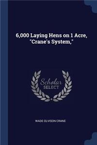 6,000 Laying Hens on 1 Acre, 