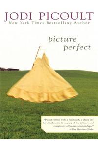 Picture Perfect