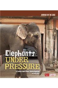 Elephants Under Pressure