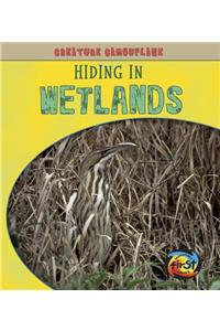 Creature Camouflage Hiding in Wetlands