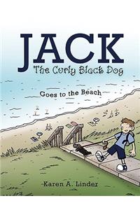 Jack The Curly Black Dog