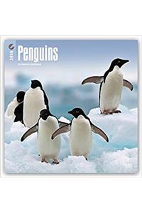 Penguins 2018 Calendar