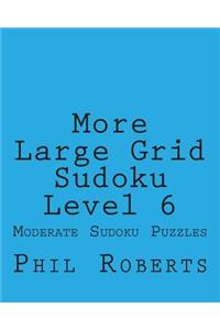More Large Grid Sudoku Level 6