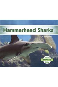 Hammerhead Sharks
