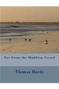 Far From the Madding Crowd