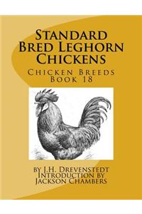 Standard Bred Leghorn Chickens