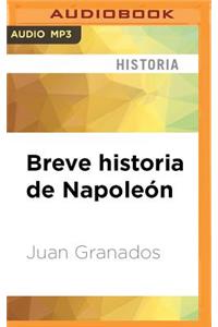 Breve Historia de Napoleón