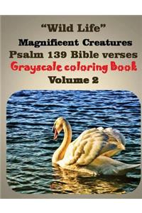 Wild Life magnificent creatures Psalm 139 bible verses