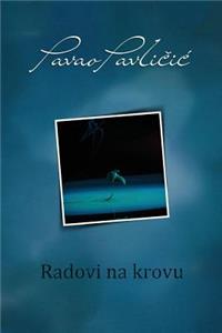 Radovi Na Krovu