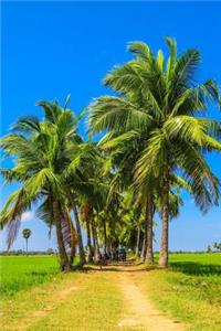 A Group of Palm Trees on a Bright Sunny Day Tropical Journal