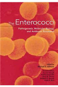 The Enterococci: Pathogenesis, Molecular Biology, and Antibiotic Resistance
