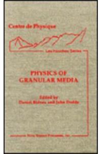 Physics of Granular Media