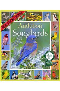 Audubon Songbirds & Other Backyard Birds