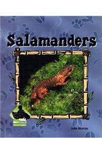 Salamanders