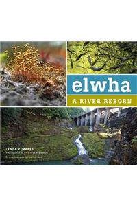 Elwha