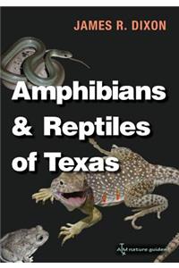 Amphibians and Reptiles of Texas